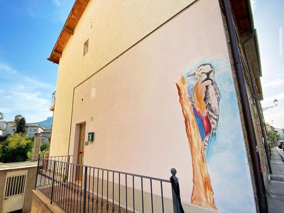 Mini Appartamento "Il Nido Del Picchio" Ascoli Piceno Bagian luar foto